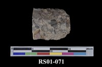 藏品(礫岩)的圖片